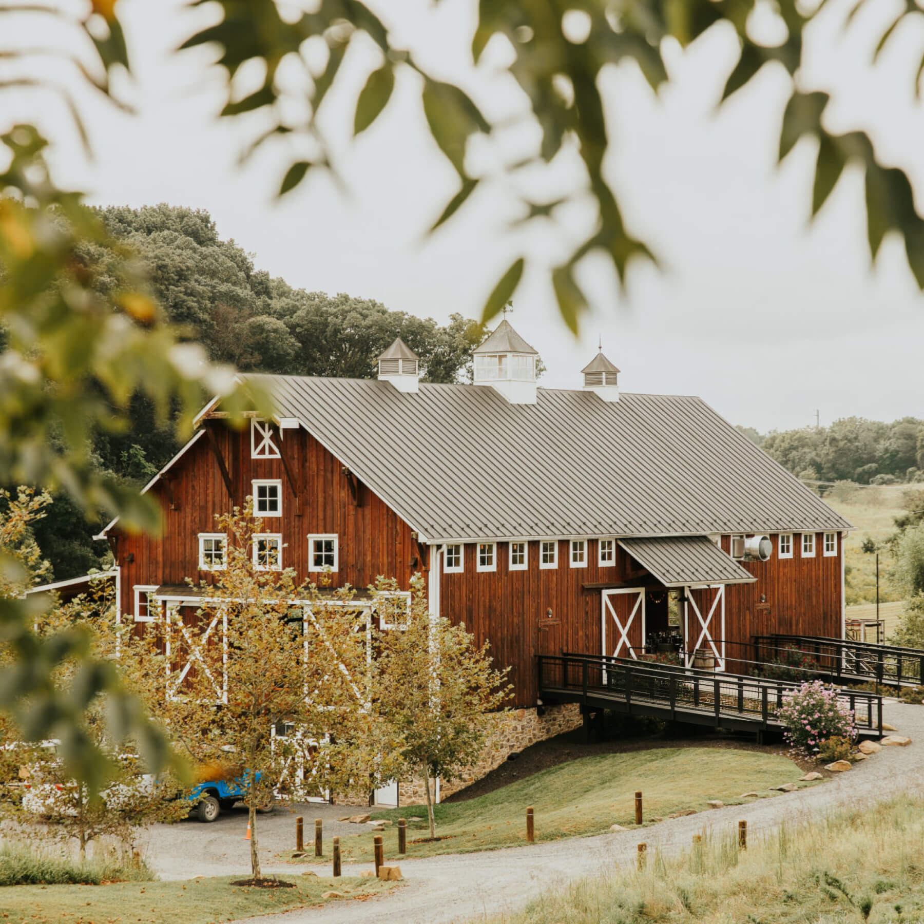 The barn through the trees